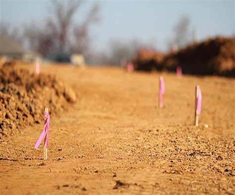 line staking|Construction Line Staking Services .